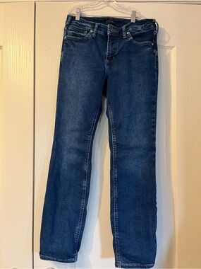 Silver Jeans Infinite Fit Mid Rise Straight Leg Stretch Denim Jeans 29 Y2K